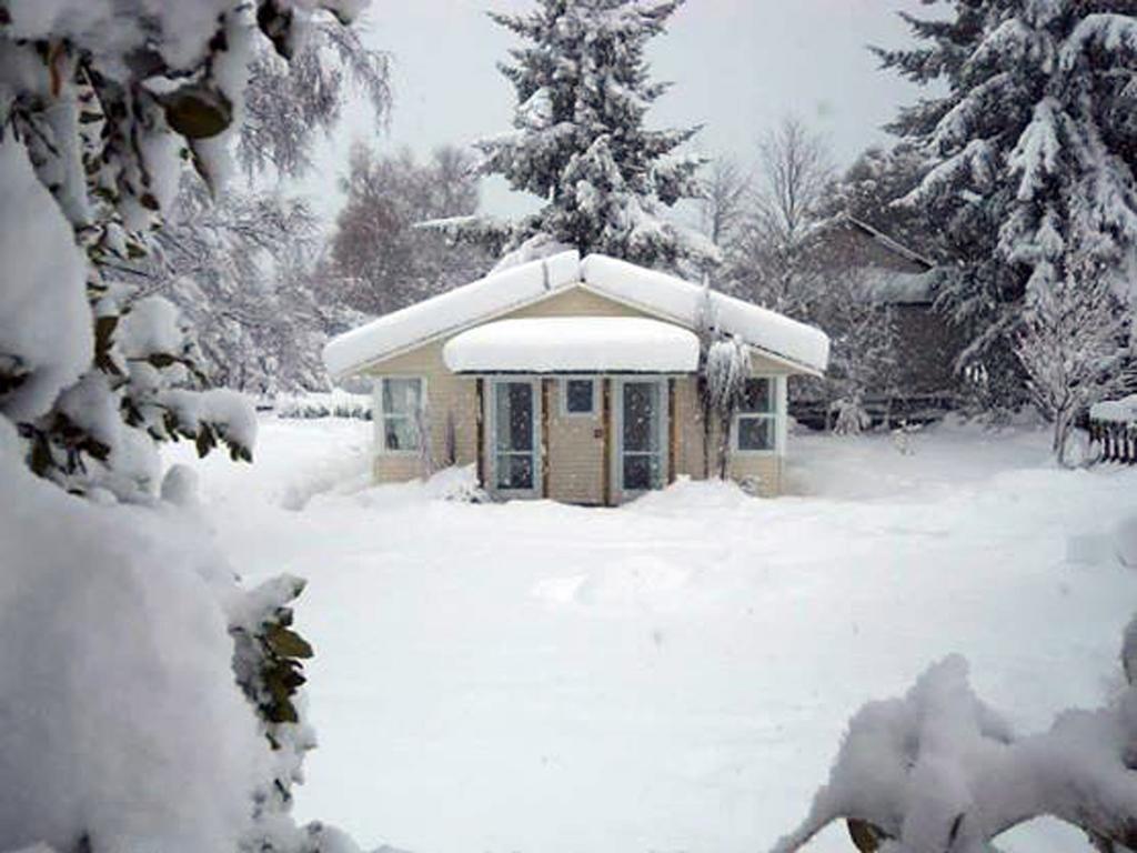 Tailor Made Tekapo Accommodation - Guesthouse & Hostel Lake Tekapo Rom bilde